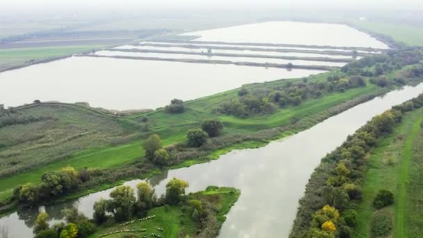 被塞尔维亚农田包围的池塘和运河的空中射击 — 图库视频影像
