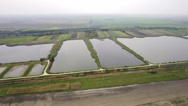 Volo Alto Sopra Stagni Canali Circondato Campi Agricoli Nella Nebbia — Video Stock