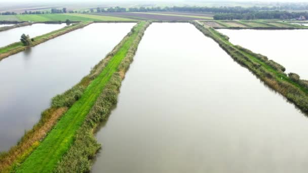 空中拍摄被绿草覆盖的土路隔开的鱼塘 — 图库视频影像
