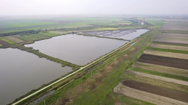 Voo Alto Acima Lagoas Canal Cercado Por Campos Agrícolas Neblina — Vídeo de Stock