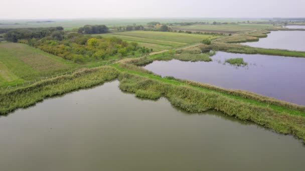 有人工鱼塘的农村空中景观 — 图库视频影像