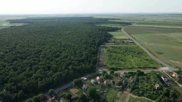 Αεροφωτογραφία Ενός Χωριού Πράσινα Λιβάδια Κοντά Στο Δάσος — Αρχείο Βίντεο