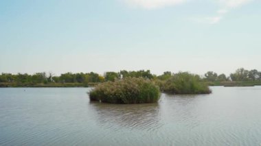 Hava aracı bulutlu bir sonbahar gününde gölün yüzeyinde uçuyor, Sırbistan 'da gölü saran yemyeşil ağaçlar ve çalılar