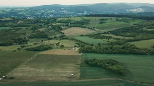 曇った春のセルビアの田舎の丘を覆う木々や畑の美しい空中眺め — ストック動画