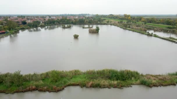 Drone Voando Acima Superfície Uma Lagoa Peixes Dia Outono Nublado — Vídeo de Stock