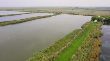 Kır yollarıyla sis içinde ayrılan ördekli balık havuzlarının hava görüntüleri.