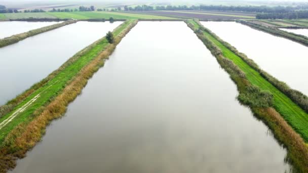 Aerial Shot Fish Ponds Captured Left Right Countryside Foggy Weather — Stock Video