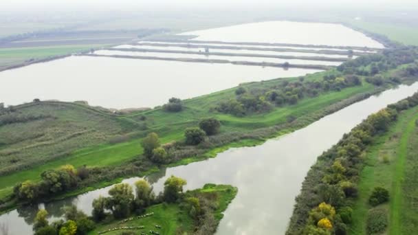 Tiro Aéreo Lagoa Canal Cercado Por Campos Agrícolas Sérvia — Vídeo de Stock