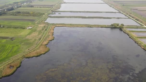 Zoom Luchtbeelden Uit Van Kunstmatige Visvijvers Omringd Door Landbouwvelden — Stockvideo