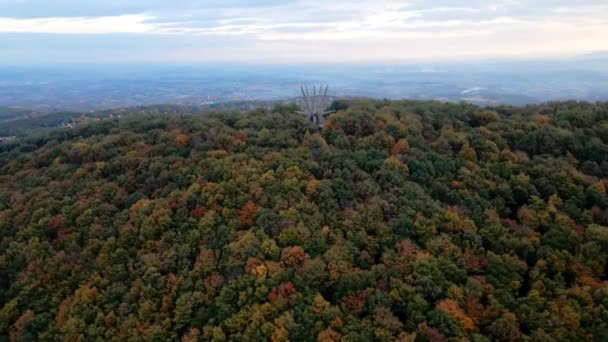 Αεροφωτογραφία Μνημείου Των Πεσόντων Μαχητών Του Κοσμάι Στο Δάσος — Αρχείο Βίντεο