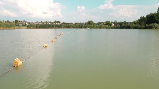 Uma Bóia Meio Lago Terminando Juncos Dia Ensolarado — Vídeo de Stock