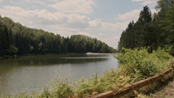 Захоплення Озера Радаль Сербії Ліси Оточують Його Блакитне Хмарне Небо — стокове відео