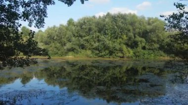 Nera Nehri üzerinde insansız hava aracı uçuşu. Orman, suyun yüzeyini mükemmel bir şekilde yansıtıyor.