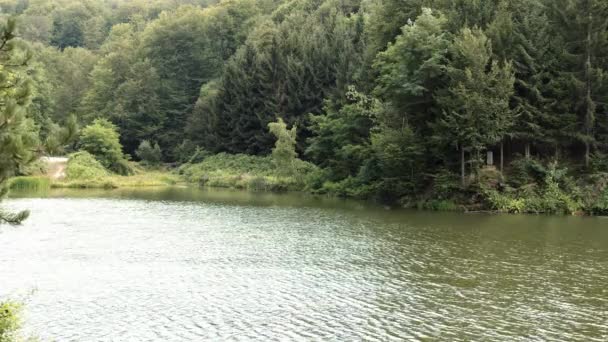 Latar Belakang Hutan Belakang Danau Radalj Serbia — Stok Video