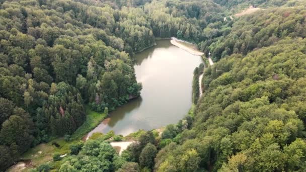 Vista Aérea Grande Floresta Com Lago Radalj Meio Sérvia — Vídeo de Stock