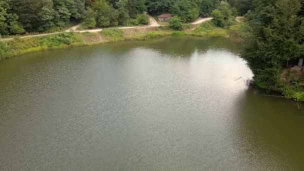 Вид Озеро Радаль Сербії Ліс Позаду Нього — стокове відео