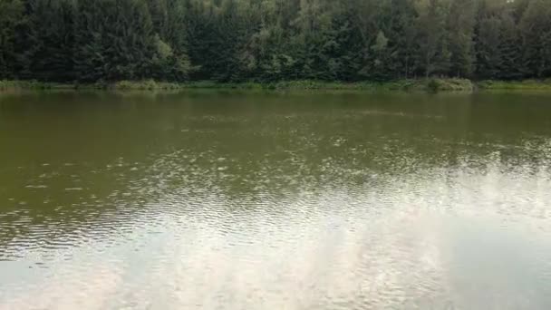 Lumière Soleil Scintille Surface Lac Forêt Étend Delà Radalj Serbie — Video