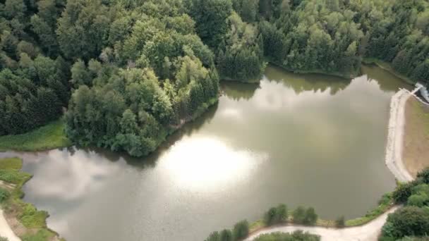 Des Images Drones Ascendants Capturent Lac Radalj Serbie Dans Forêt — Video