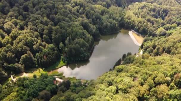 Voando Alto Acima Lago Radalj Sérvia Cercado Por Bosques Dia — Vídeo de Stock