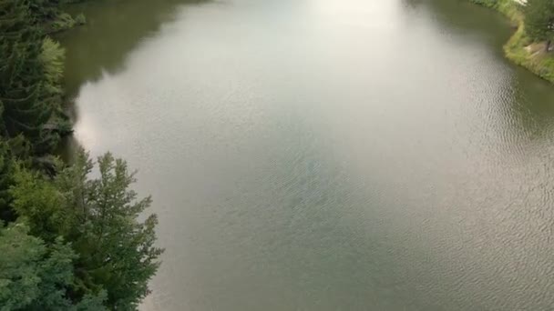Επιφάνεια Της Λίμνης Συλλαμβάνεται Από Την Οπτική Γωνία Drone Δέντρα — Αρχείο Βίντεο