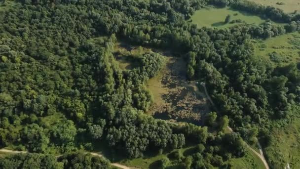 Αεροφωτογραφία Μιας Λίμνης Στη Μέση Του Δάσους Κρυμμένη Ένα Καταπράσινο — Αρχείο Βίντεο