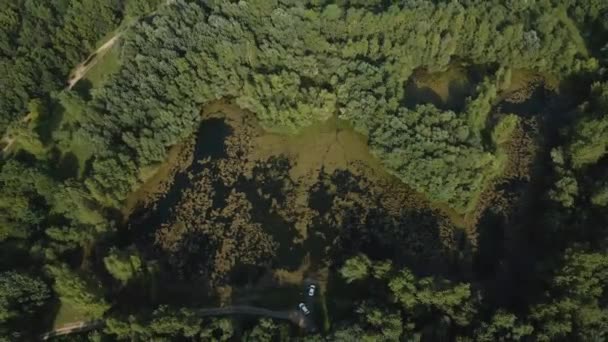 Drone Wspinaczka Przechwytywanie Stawu Środku Lasu Ukryte Bujnych Liści — Wideo stockowe