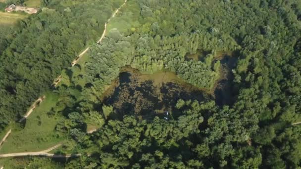 Drone Voa Torno Pequeno Macho Meio Floresta — Vídeo de Stock