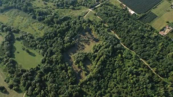 Drone Ascende Para Capturar Extensão Florestas Campos Agrícolas Nas Proximidades — Vídeo de Stock