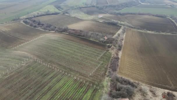 Vista Aérea Del Campo Cultivo Rural Mosaico Día Nublado — Vídeos de Stock