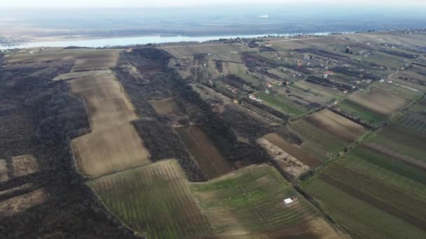 Donau Rinner Genom Byn Serbien Omgiven Agrara Fält Serbien — Stockvideo