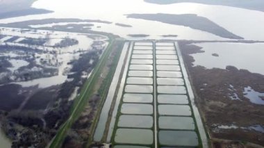 Sırbistan 'ın kırsal kesimindeki büyük bataklığın yanındaki insan yapımı balık havuzlarında insansız hava aracı vuruldu
