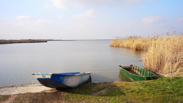 Невеликі Човни Березі Озера Оточенні Очерету Тлі Блакитного Неба Сербії — стокове відео
