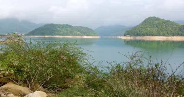 Hierba Silvestre Creciendo Las Rocas Hermosa Orilla Del Lago Con — Vídeo de stock