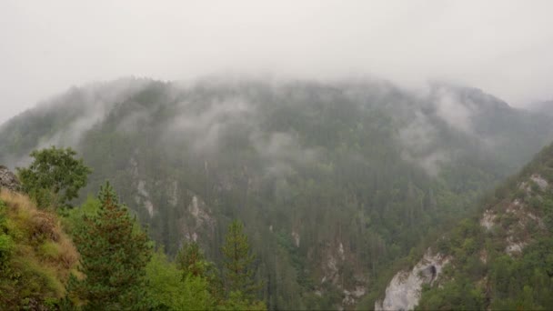 Captura Bajo Ángulo Del Pico Montaña Las Nubes Niebla Zaovine — Vídeo de stock