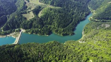 Sırbistan 'ın ormanlık kesimindeki muhteşem mavi nehrin üzerindeki bir köprünün havadan görünüşü