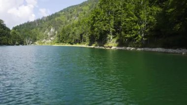 Sırbistan 'ın Zaovine kentindeki ağaçlarla kaplı göl yüzeyinden kıyıya doğru insansız hava aracı uçuşu