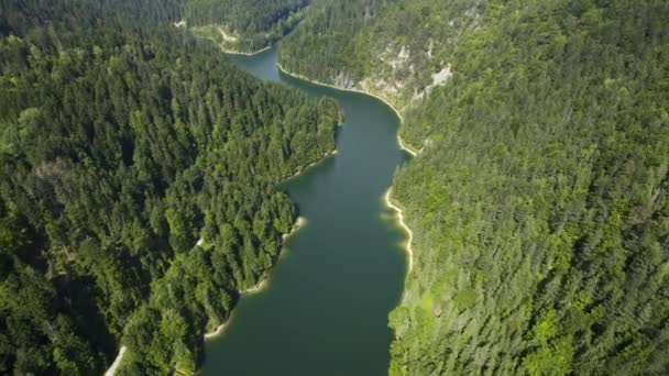 Drone Sale Cattura Lago Kruscica Zaovine Serbia Circondato Alberi Sempreverdi — Video Stock