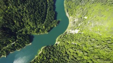 Sırbistan 'ın Zaovine kentinde mavi göl etrafındaki yeşil ormanın üst manzarası
