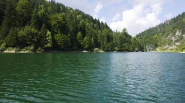 Sırbistan 'ın Zaovine kentindeki ağaçlarla kaplı göl yüzeyinin insansız hava aracı görüntüleri