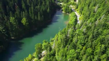 Sırbistan 'ın Zaovine kentinde güneşli bir günde yeşil ormanda insansız hava aracı uçuyor