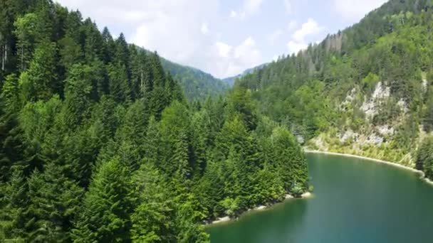 Immergrüne Bäume Rund Den Blauen Kruscica See Zaovine Serbien — Stockvideo