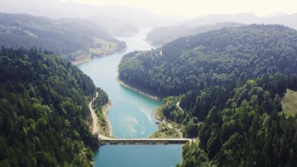 Légi Kilátás Hídra Gyönyörű Kék Folyón Keresztül Erdő Közepén Szerbiában — Stock videók
