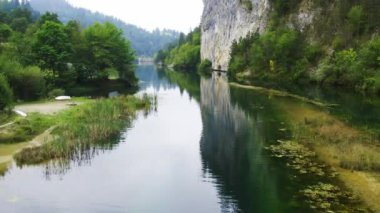 Sırbistan 'da Tara dağı ve yeşil ormanlarla çevrili güzel temiz göl manzarası