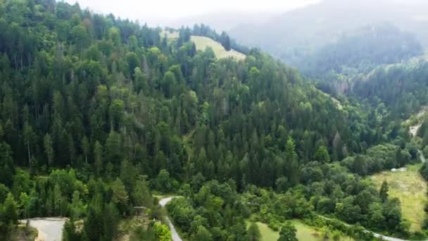 Bosques Siempreverdes Una Montaña Día Nublado Zaovine Serbia — Vídeos de Stock