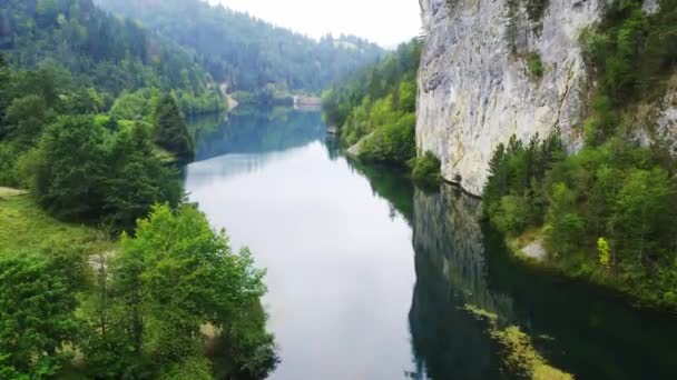 Прекрасний Знімок Чистого Озера Оточенні Гір Тара Зеленого Лісу Сербії — стокове відео