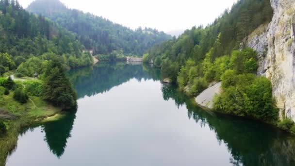 Piękne Ujęcie Czystego Jeziora Otoczonego Górskim Zielonym Lasem Serbii — Wideo stockowe