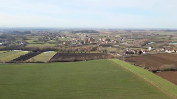 Drone Beelden Van Groene Landbouwvelden Met Plassen Servië — Stockvideo