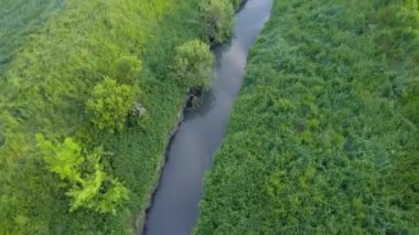 Sırbistan 'da yeşil ve tarım alanlarıyla çevrili Ub nehrinin etrafında insansız hava aracı uçuyor
