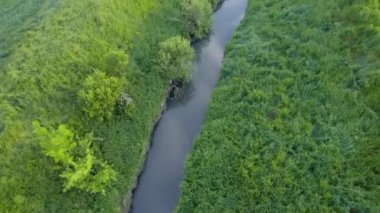 Sırbistan 'da yeşil ve tarım alanlarıyla çevrili Ub nehrinin etrafında insansız hava aracı uçuyor