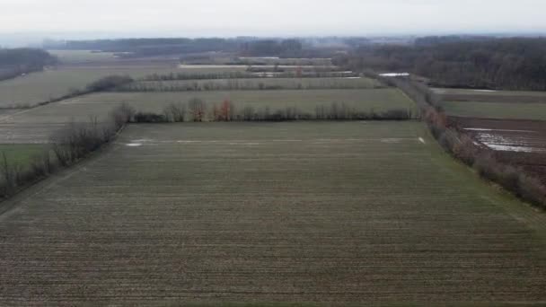 Vlucht Boven Lege Landbouwvelden Met Bevroren Plassen Servië Winter — Stockvideo